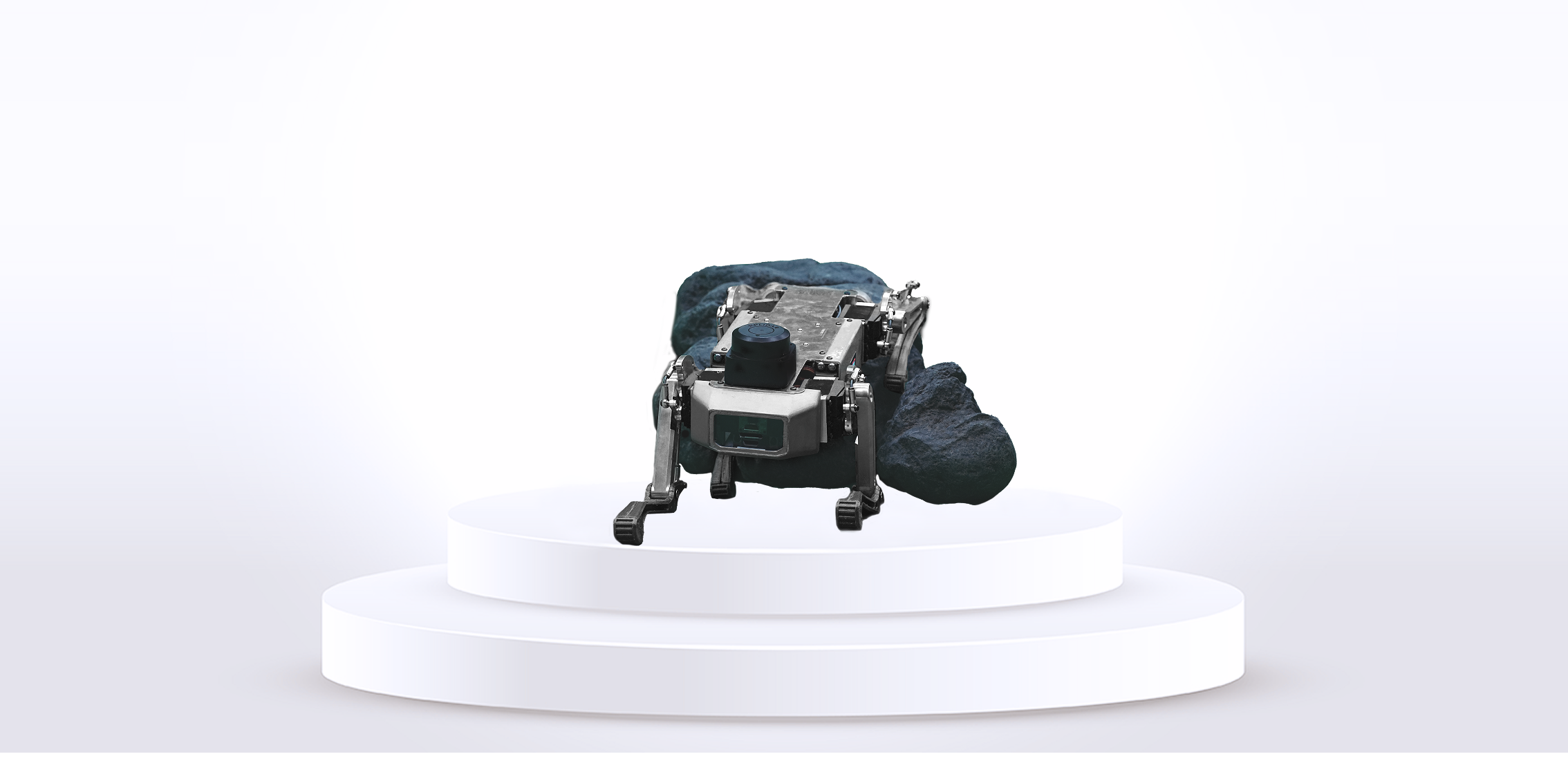 P105 robotic dog