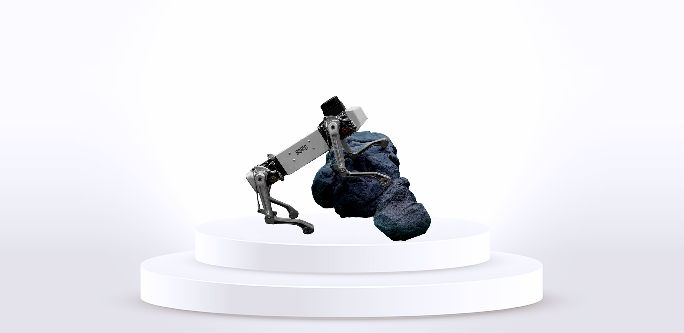 P105 robotic dog